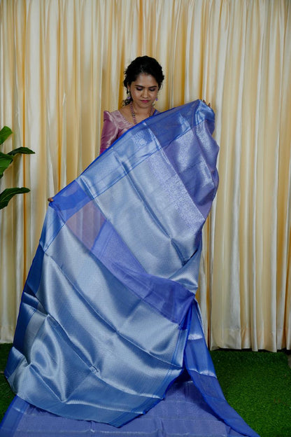 Katan bridal tissue saree🥰🥳