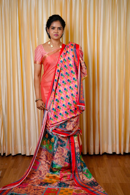 Chinnon mirror work saree🥰😎📚