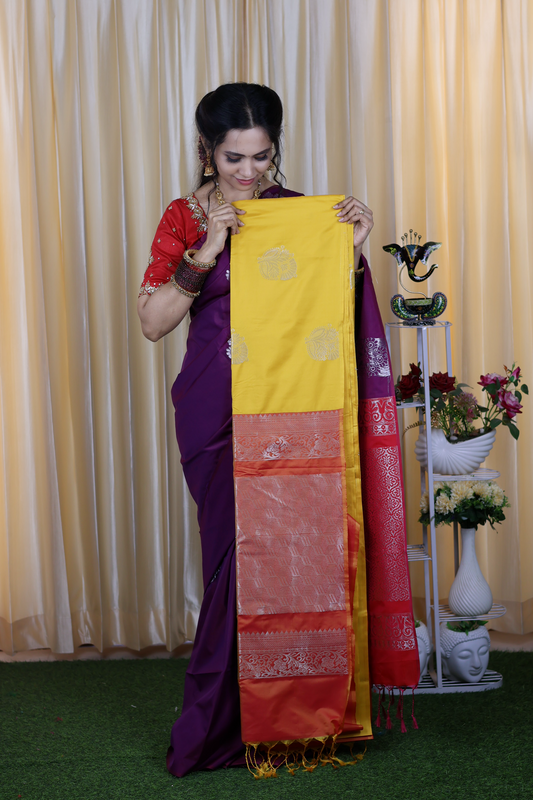 Borderless soft silk saree ❌
