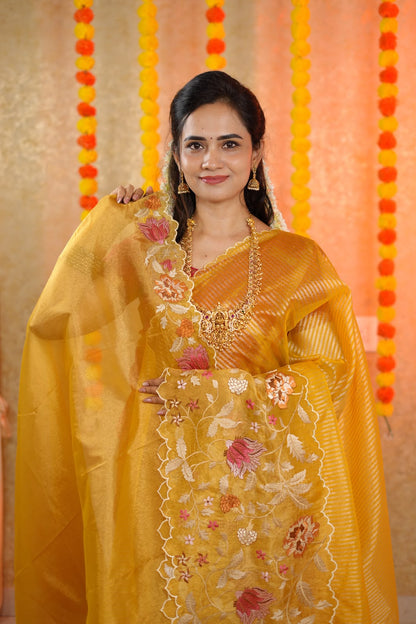 Banarasi soft tissue with Appliqué Embroidery work sarees😍🥳