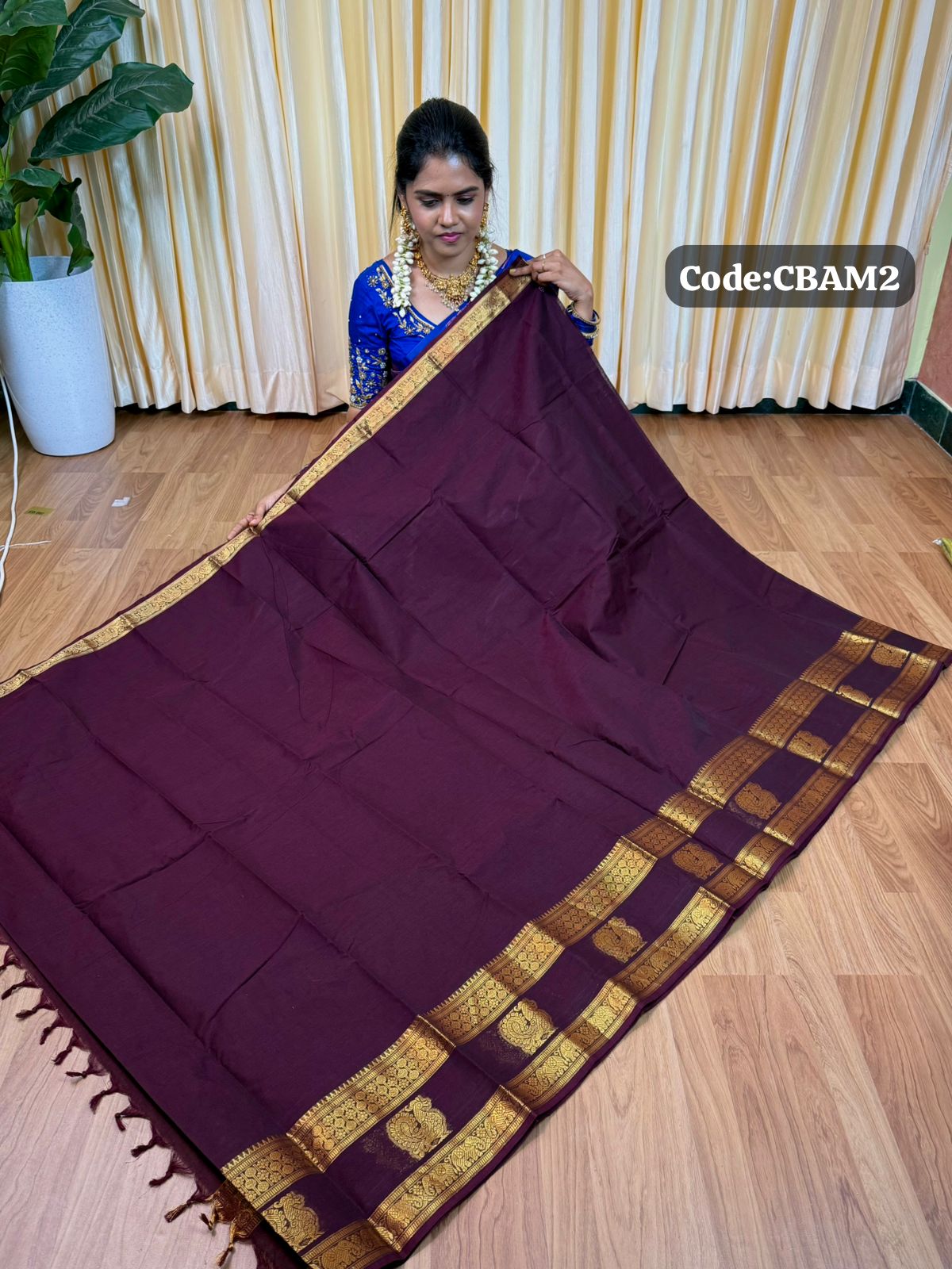 Premium Kanchi cotton sarees🥰😎📚