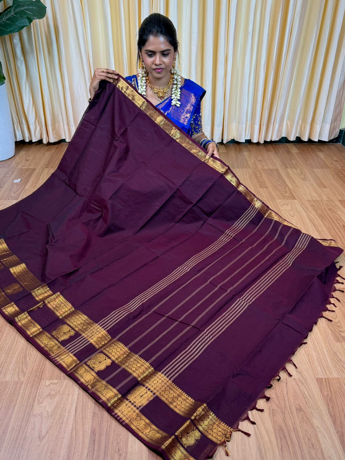 Premium Kanchi cotton sarees🥰😎📚