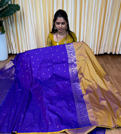 Kanchi semi  silk saree🥰😎🌈📚