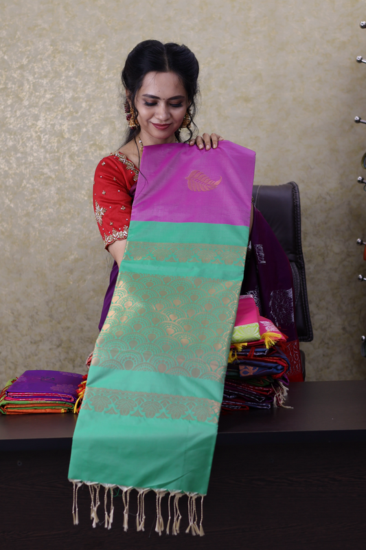 Borderless semi soft silk saree😍🥳
