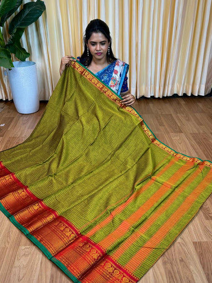 Kanchi cotton saree🥰😎📚