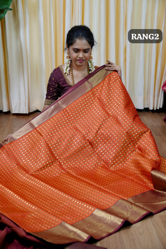 Warm silk saree🥳Sridevi inspired