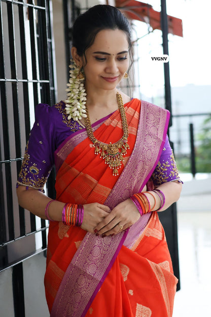 Warm silk saree contrast border 🥳