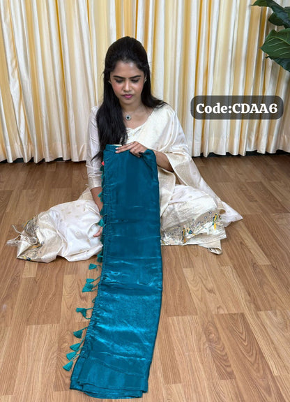 Space silk saree with work blouse🥰😎📚