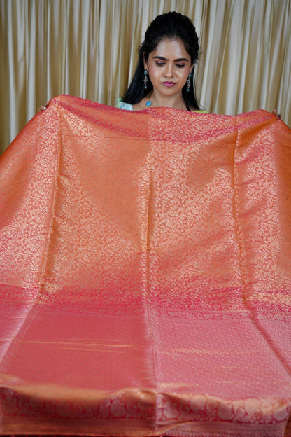 Kanchi semi silk sarees  (Animal figure)🥰😎📚