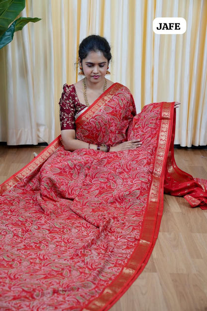 Soft dola silk with Kanchi style border😎🥰