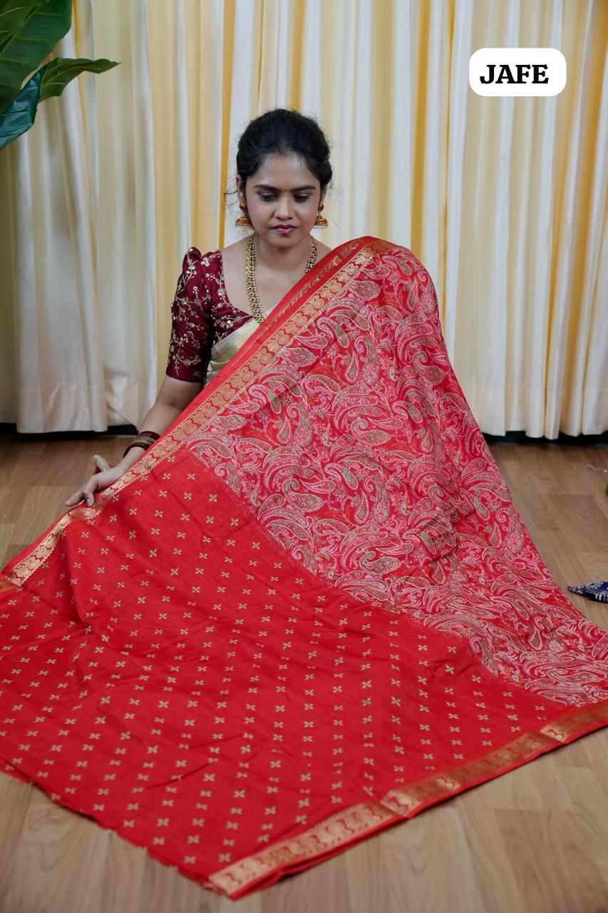 Soft dola silk with Kanchi style border😎🥰