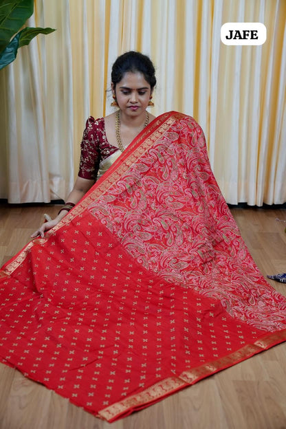 Soft dola silk with Kanchi style border😎🥰
