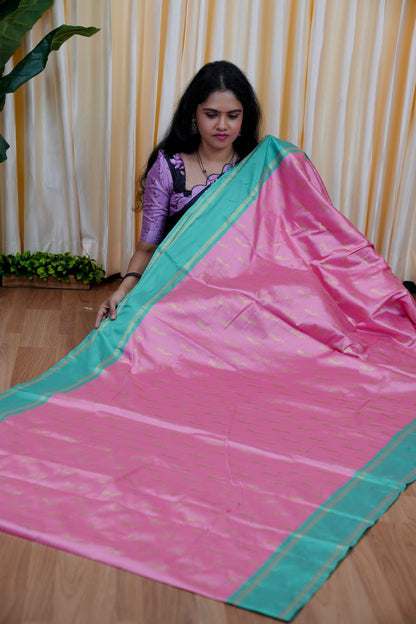 Kanchi soft silk saree🥰😎📚