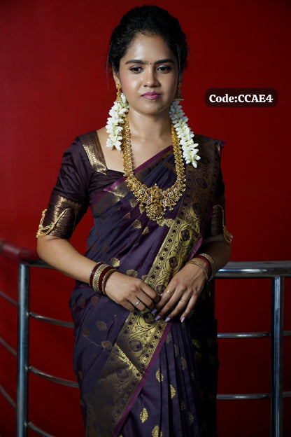 Kanchi semi silk saree🥳