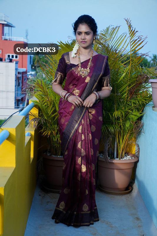 Kanchi semi silk saree🥳