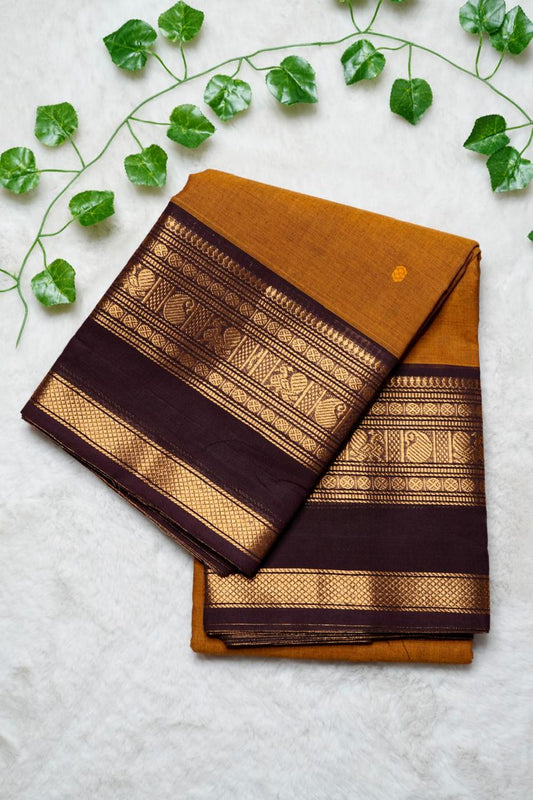 Kanchi cotton sarees🥰😎📚