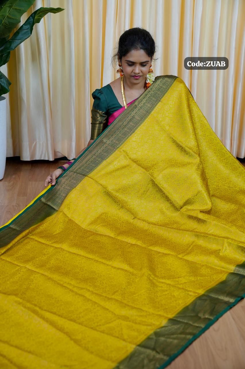 Tissue silk sarees  🥳