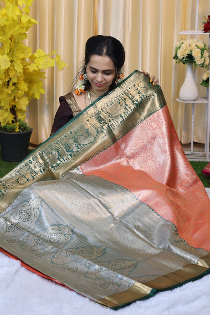 Bridal Pattu saree 😍