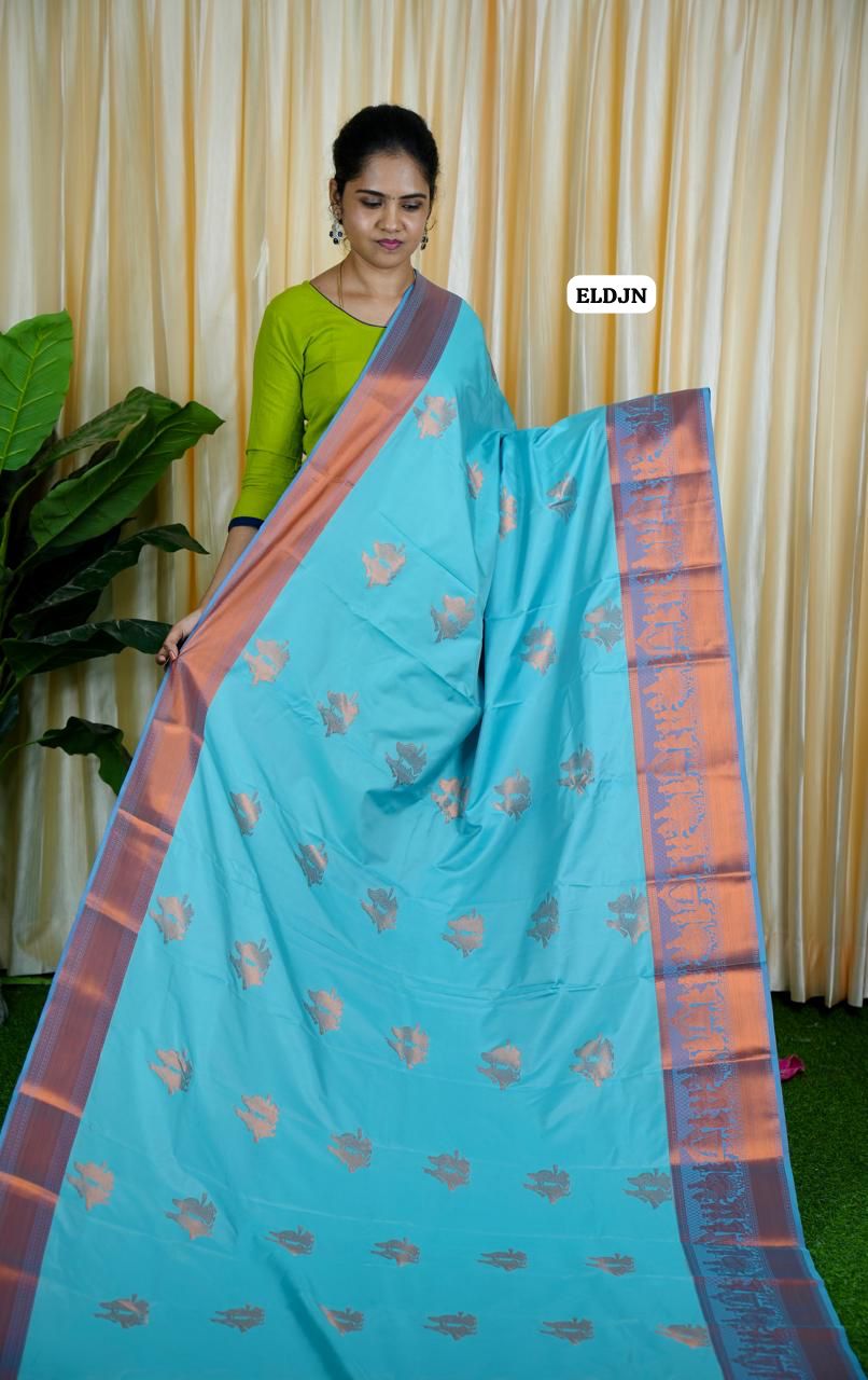 Pallakku saree🥰🥳
