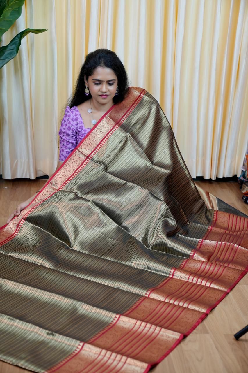 Tissue silk saree🥰😎