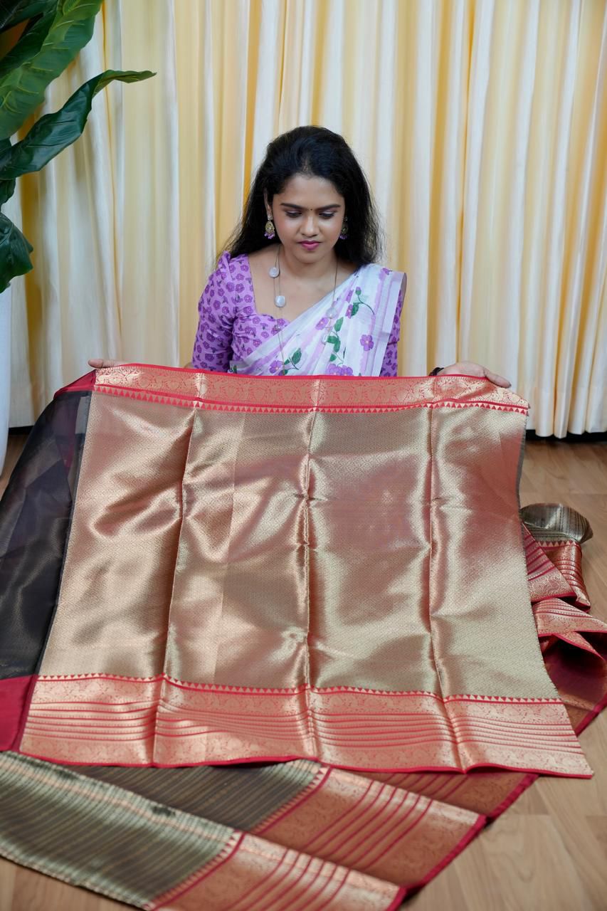 Tissue silk saree🥰😎