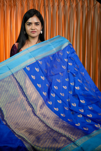 Kanchi soft silk sarees🥰😎📚