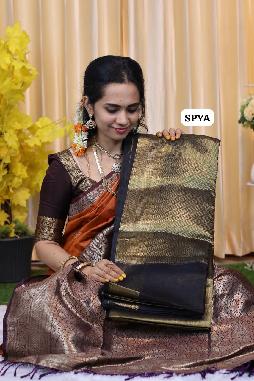 Sai Pallavi inspired saree🥳
