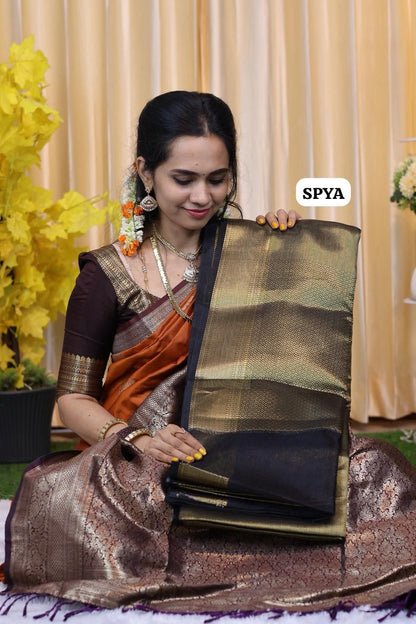 Sai Pallavi inspired saree🥳