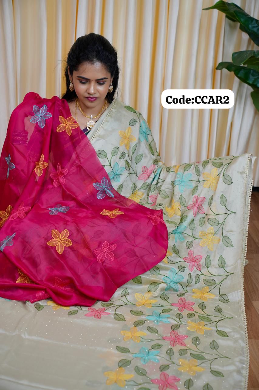 Designer embroidery work saree🥰😎📚