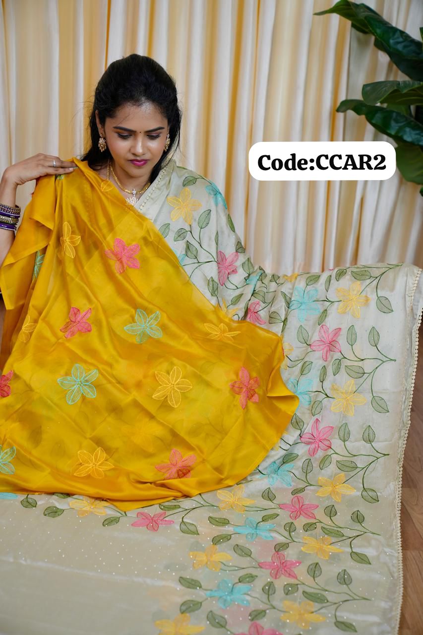 Designer embroidery work saree🥰😎📚
