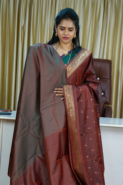 Kanchi semi silk sarees🥰😎📚🌈