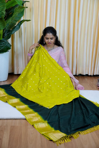 Dola silk saree🥰🥳