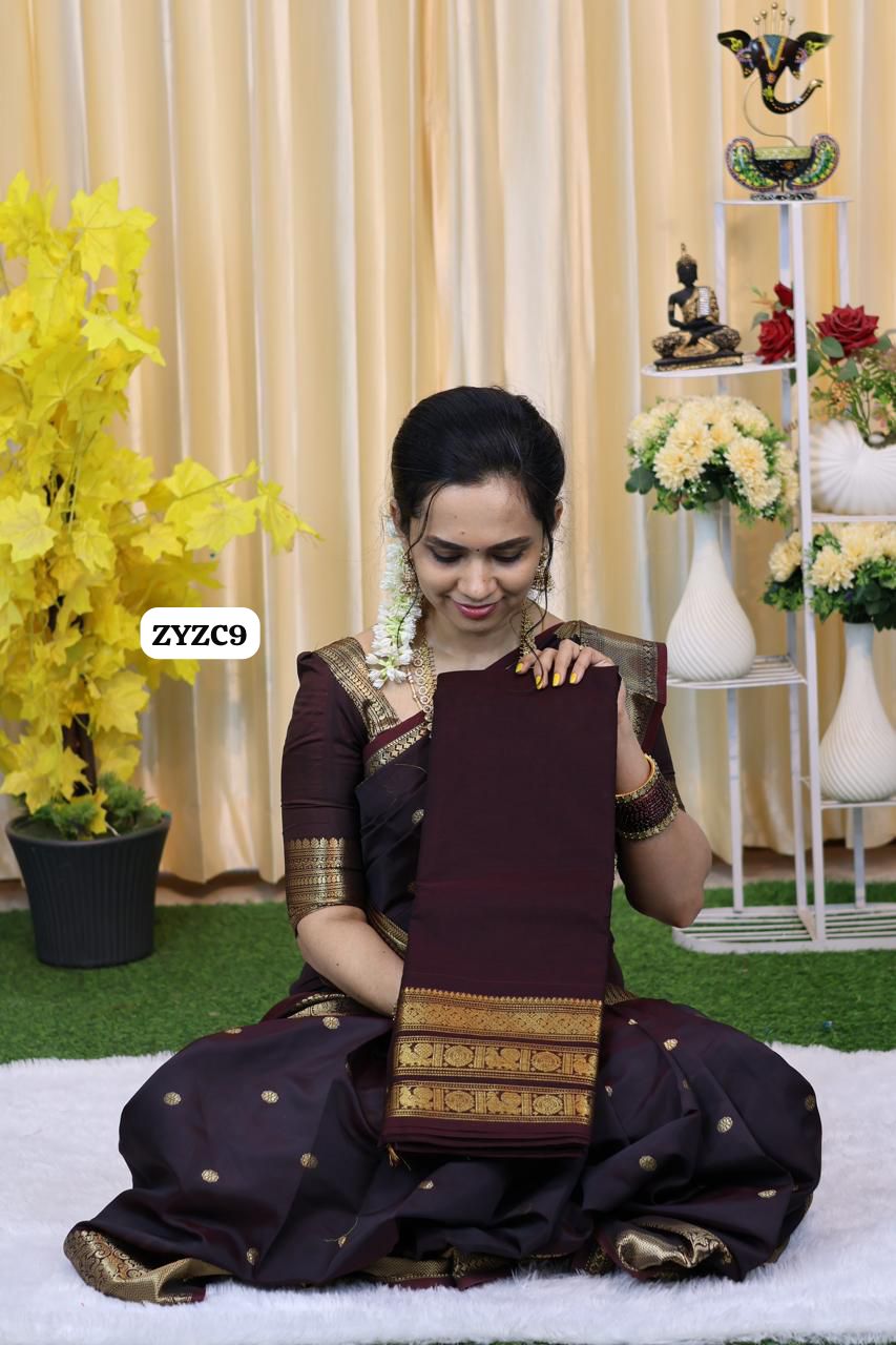 Kanchi cotton saree 🥳