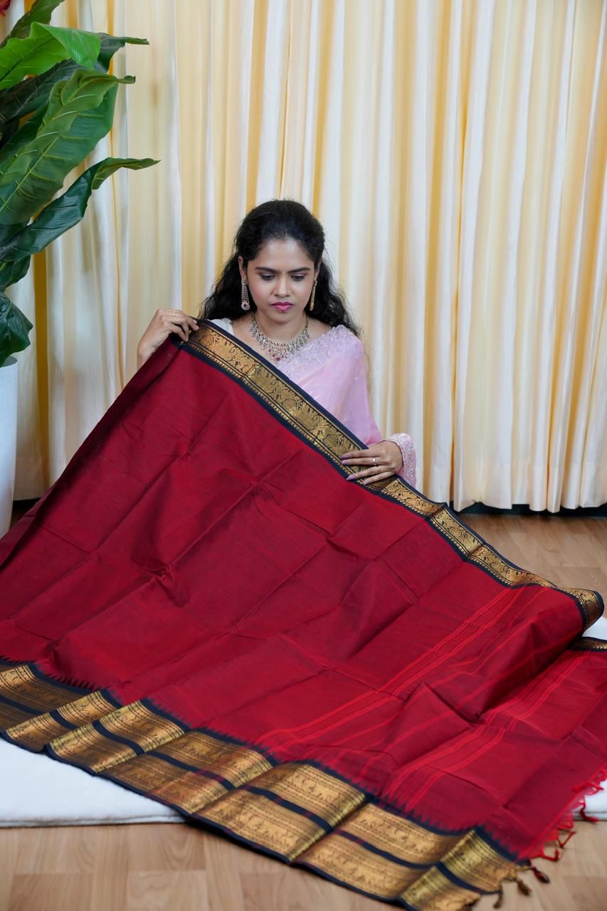 Kanchi cotton sarees🥰😎