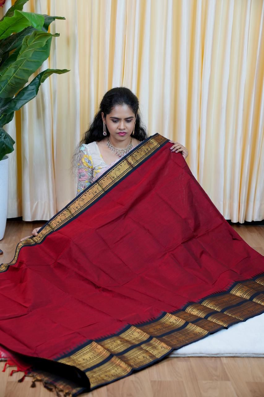 Kanchi cotton sarees🥰😎
