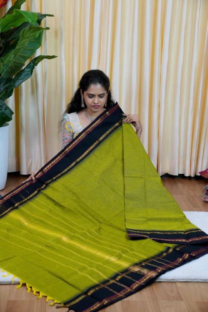 Kanchi cotton sarees🥰😎📚