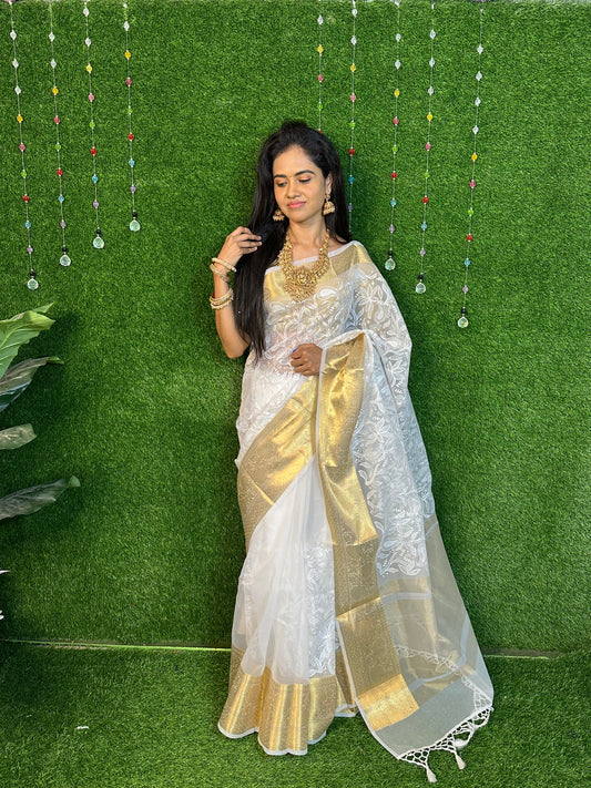 Organza Saree with Thread Embroidery XXX