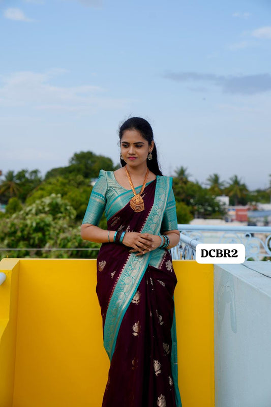 Premium Warm Silk Saree(no animal figure)🥳
