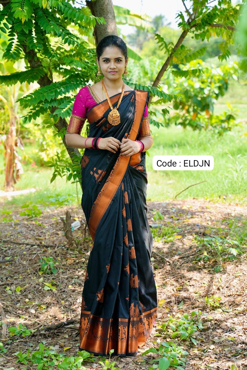 Pallakku sarees🥳
