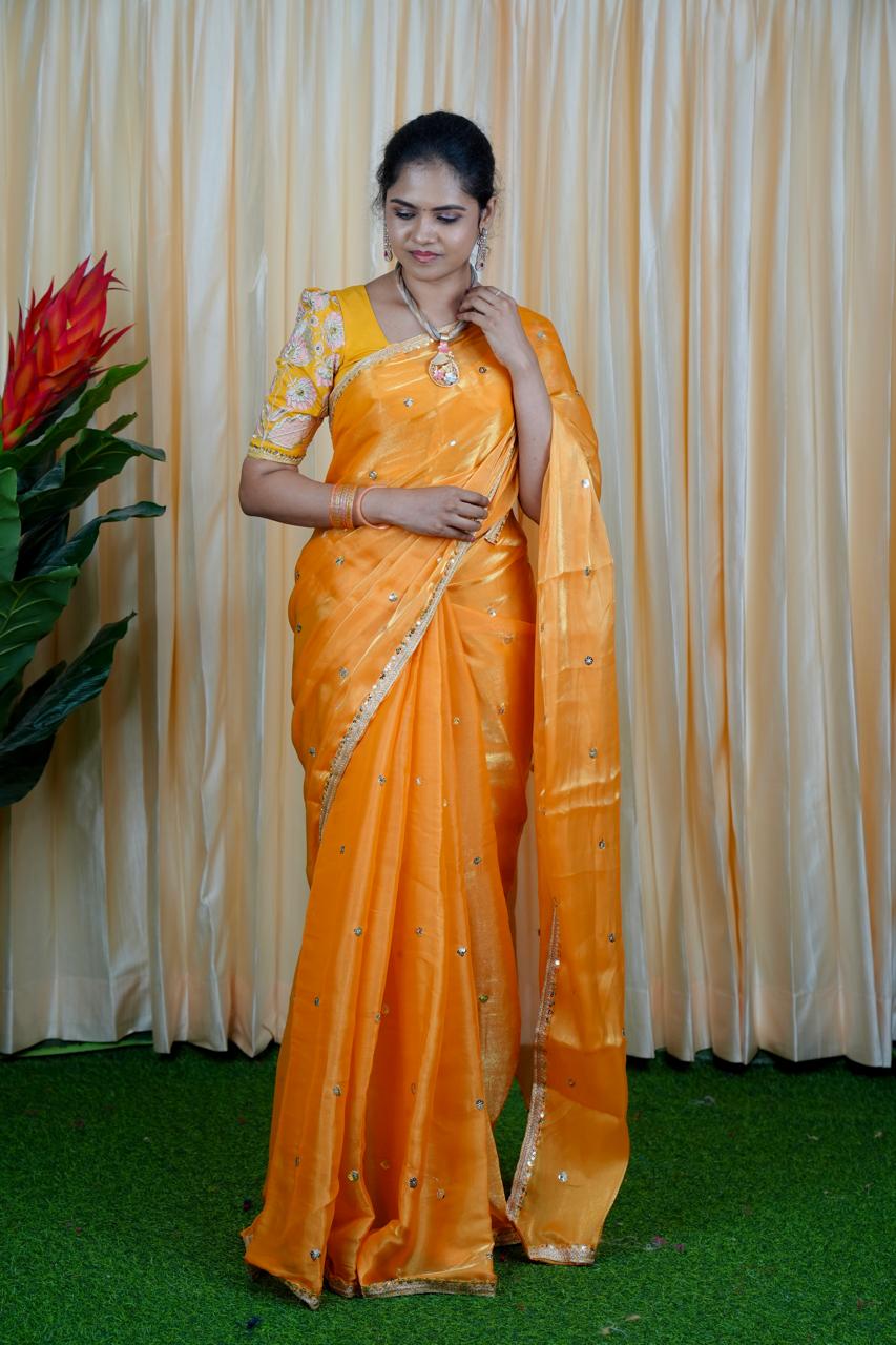 Jimmy Choo Saree with embroidery blouse🥳