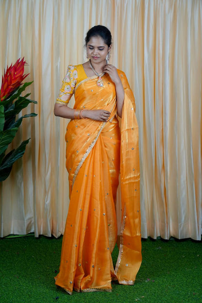 Jimmy Choo Saree with embroidery blouse🥳