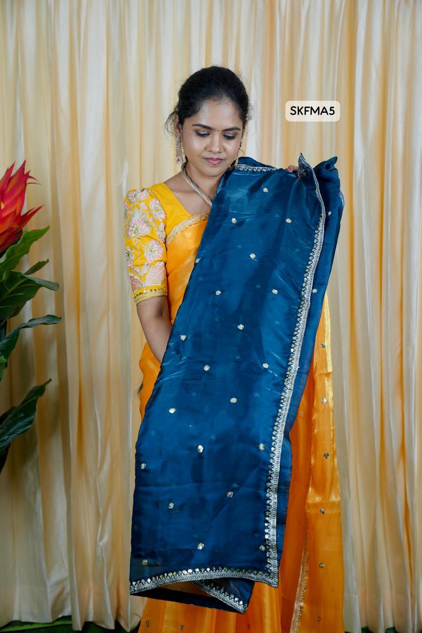 Jimmy Choo Saree with embroidery blouse🥰 🥳