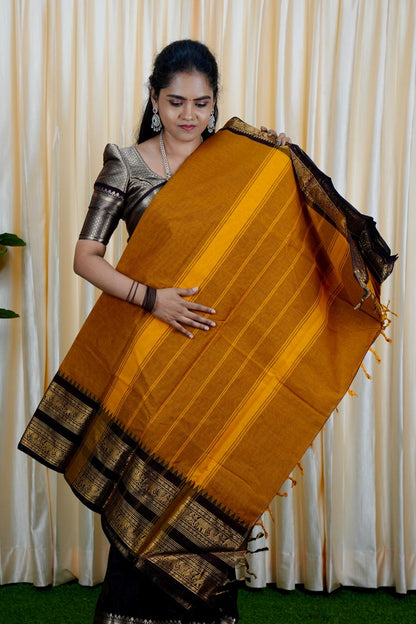 Kanchi Cotton Saree With brown colour border ❌