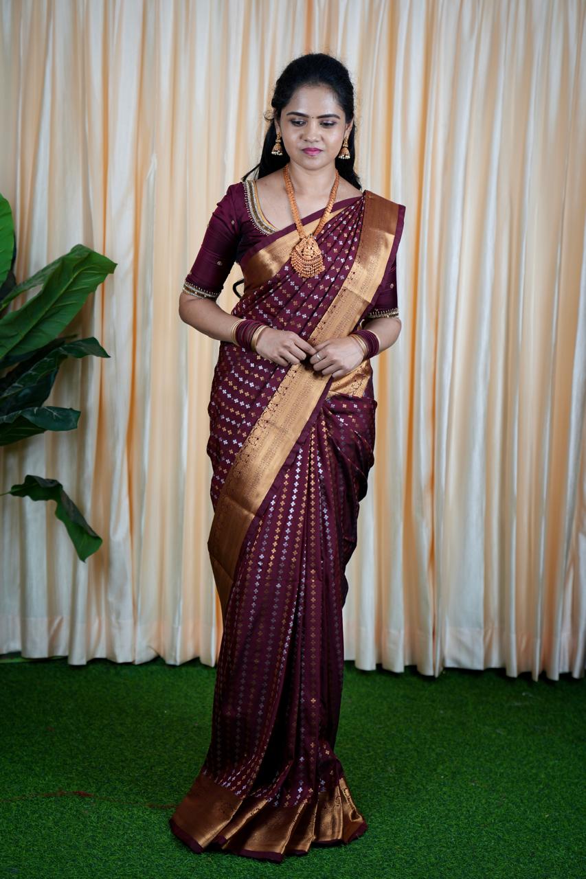 Premium Sridevi Inspired Saree (no animal figure ) 🍏🍄