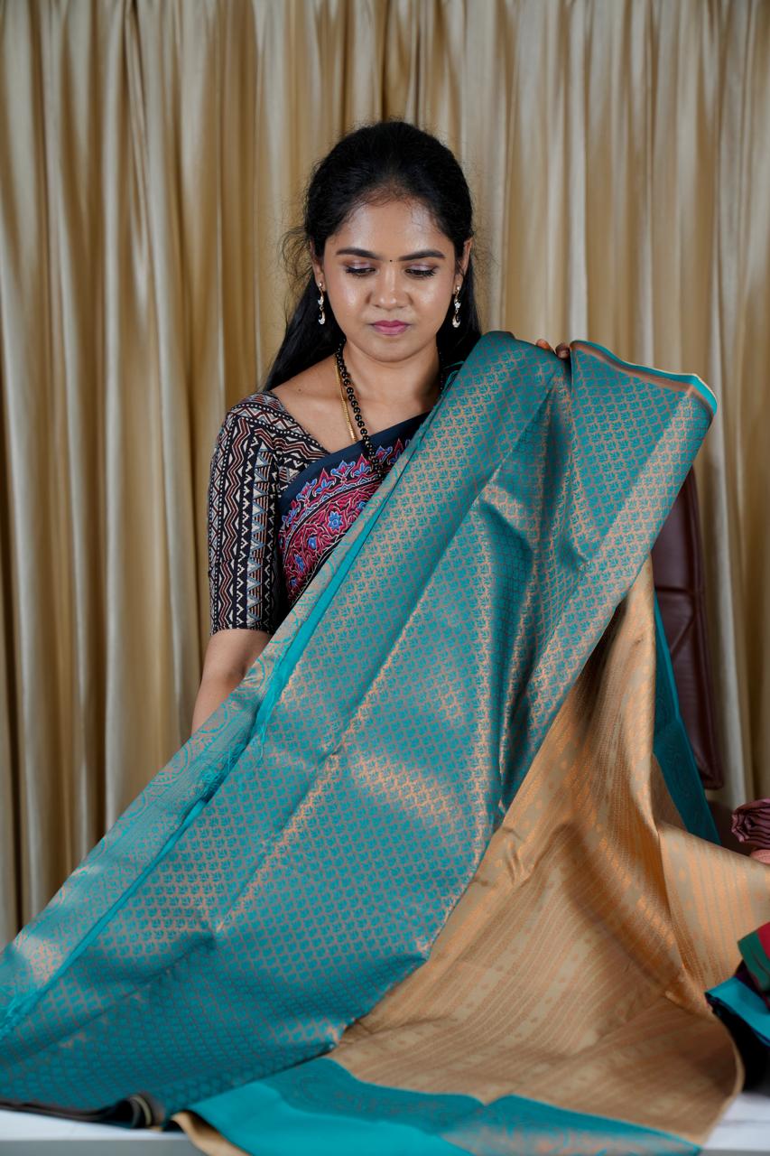 Soft Silk Saree 🥰