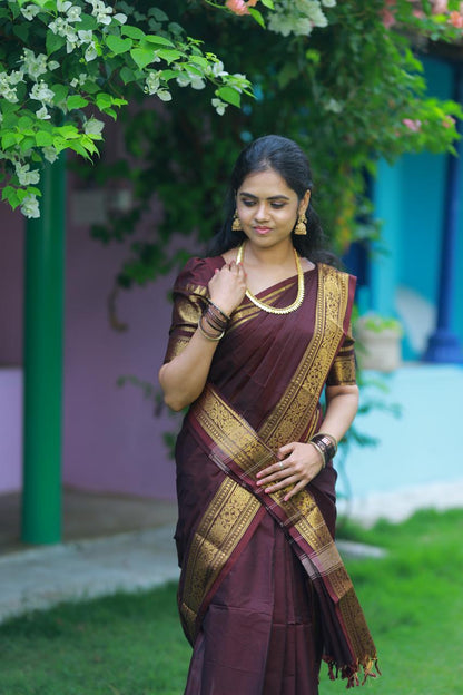 Kanchi Cotton Saree. Prebook 😍⏰