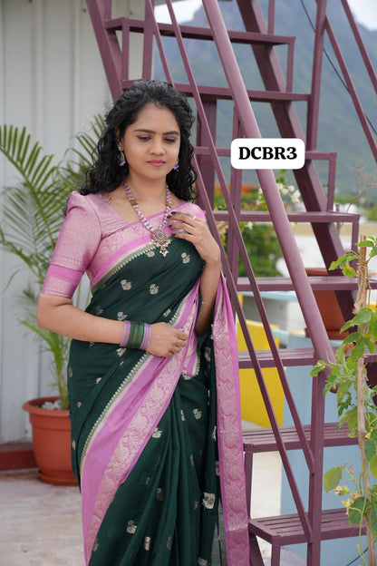 Premium warm silk saree🍏🥳