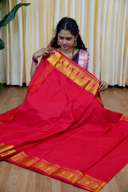 Bridal Kanchi semi silk 🥳