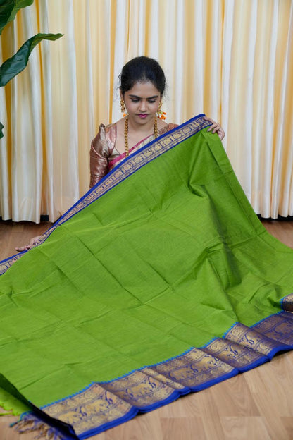 Kanchi cotton saree🥰😎📚