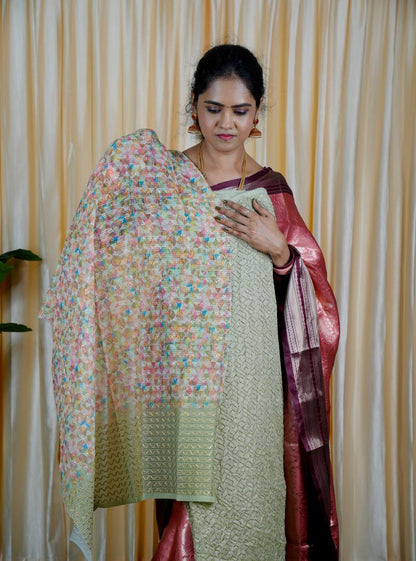 Designer net saree 🥰🥳